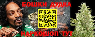 индика Конаково